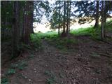 Kranjski Rak - Gradišče (Velika planina)